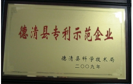 2009年德清縣專利示範企業